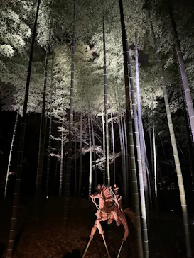 六義園に投稿された画像（2026/3/22）