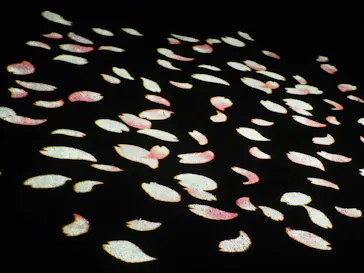 六義園に投稿された画像（2026/3/22）