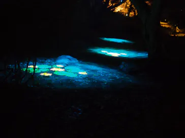 六義園に投稿された画像（2026/3/22）