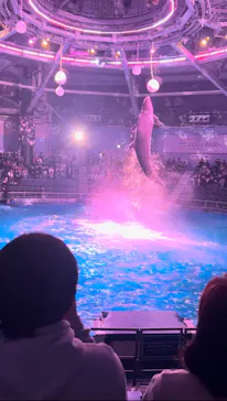 マクセル アクアパーク品川に投稿された画像（2026/3/22）