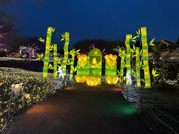 伊豆高原グランイルミに投稿された画像（2026/3/22）