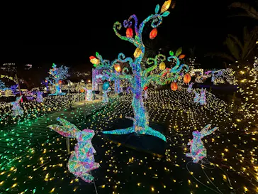 伊豆高原グランイルミに投稿された画像（2026/3/22）