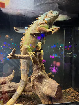 NARA IKIMONO MUSEUMに投稿された画像（2026/3/22）