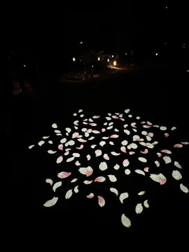 六義園に投稿された画像（2026/3/22）