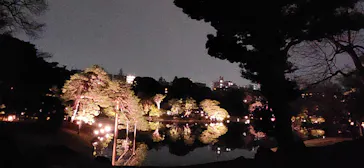 六義園に投稿された画像（2026/3/22）