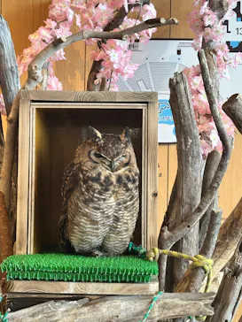 仙台うみの杜水族館に投稿された画像（2026/3/22）