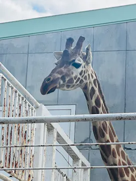 九十九島パールシーリゾートに投稿された画像（2026/3/22）