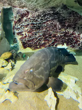 九十九島パールシーリゾートに投稿された画像（2026/3/22）