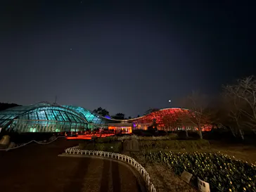 京都府立植物園　LIGHT CYCLES KYOTOに投稿された画像（2026/3/22）