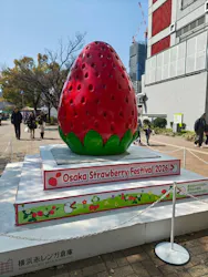 OSAKA Strawberry Festivalに投稿された画像（2026/3/22）