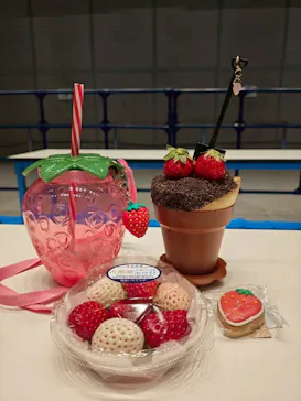 OSAKA Strawberry Festivalに投稿された画像（2026/3/22）