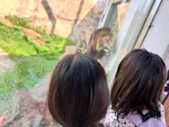 千葉市動物公園に投稿された画像（2026/3/23）