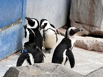 千葉市動物公園に投稿された画像（2026/3/22）