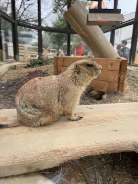 名古屋市東山動植物園に投稿された画像（2026/3/23）