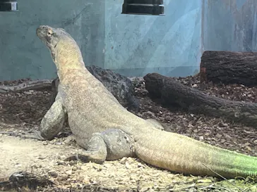 名古屋市東山動植物園に投稿された画像（2026/3/23）
