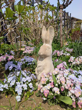 横浜イングリッシュガーデンに投稿された画像（2026/3/23）