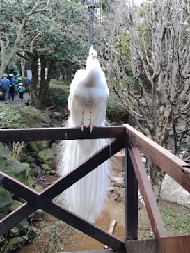 伊豆シャボテン動物公園に投稿された画像（2026/3/23）