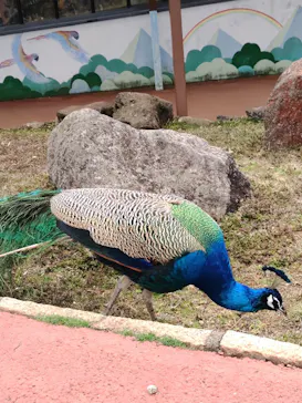 伊豆シャボテン動物公園に投稿された画像（2026/3/23）