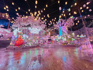 ひらかたパークに投稿された画像（2026/3/23）