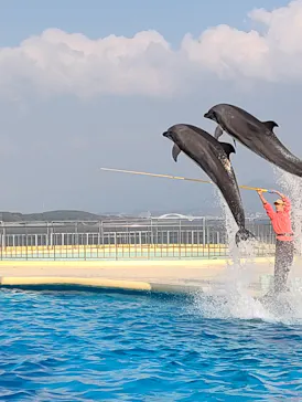 マリンワールド海の中道に投稿された画像（2026/3/23）