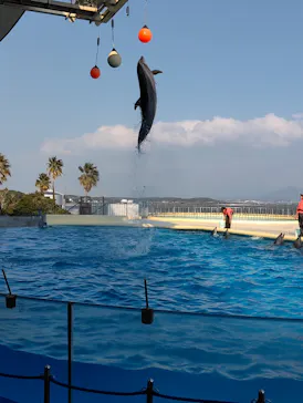 マリンワールド海の中道に投稿された画像（2026/3/23）