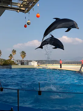 マリンワールド海の中道に投稿された画像（2026/3/23）