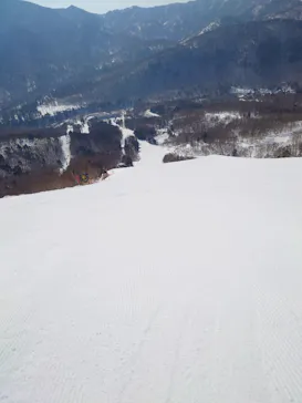 志賀高原焼額山スキー場に投稿された画像（2026/3/23）