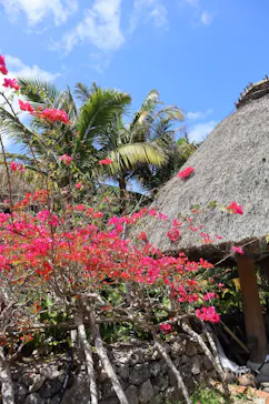 琉球村に投稿された画像（2026/3/23）