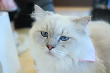 つくばわんわんランドに投稿された画像（2026/3/23）