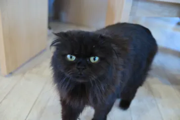 つくばわんわんランドに投稿された画像（2026/3/23）