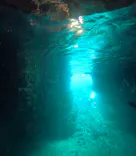 武藤潜水に投稿された画像（2026/3/23）