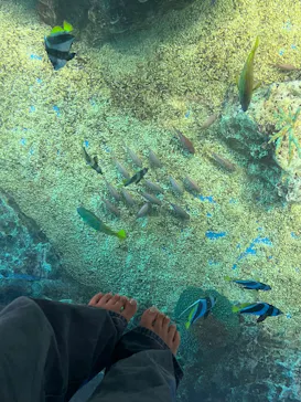 越前松島水族館に投稿された画像（2026/3/23）