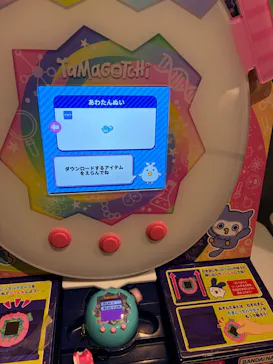 新江ノ島水族館に投稿された画像（2026/3/23）