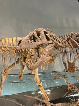 福井県立恐竜博物館に投稿された画像（2026/3/23）