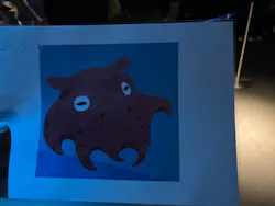 サンシャイン水族館に投稿された画像（2026/3/23）