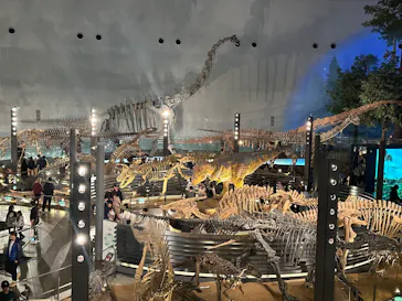 福井県立恐竜博物館に投稿された画像（2026/3/23）