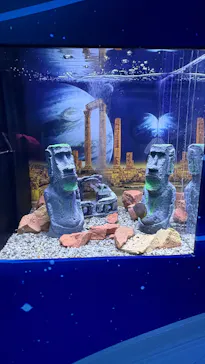 ひらかたパークに投稿された画像（2026/3/23）