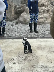 横浜・八景島シーパラダイスに投稿された画像（2026/3/23）
