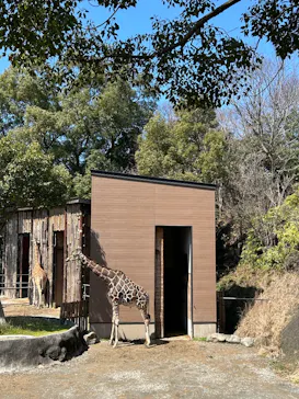 長崎バイオパークに投稿された画像（2026/3/23）