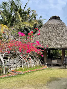 琉球村に投稿された画像（2026/3/23）