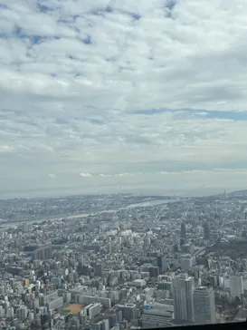 東京スカイツリーに投稿された画像（2026/3/23）