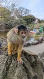 伊豆シャボテン動物公園に投稿された画像（2026/3/23）
