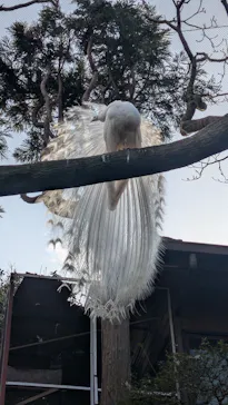 伊豆シャボテン動物公園に投稿された画像（2026/3/23）