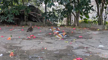 伊豆シャボテン動物公園に投稿された画像（2026/3/23）