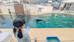 伊豆・三津シーパラダイスに投稿された画像（2026/3/23）