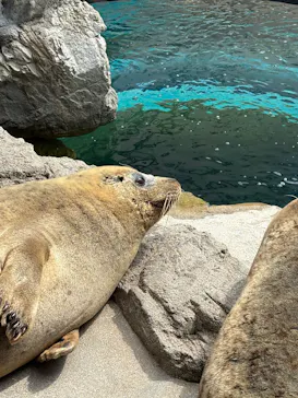 京都水族館に投稿された画像（2026/3/23）