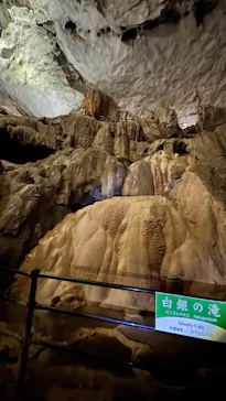 秋芳洞に投稿された画像（2026/3/23）