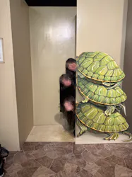 東京トリックアート迷宮館に投稿された画像（2026/3/23）