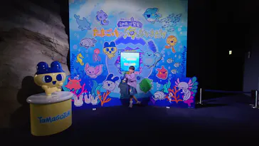 新江ノ島水族館に投稿された画像（2026/3/23）