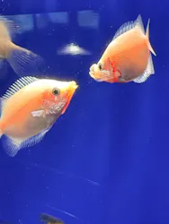 サンシャイン水族館に投稿された画像（2026/3/23）